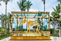 Thumbnail Faena Hotel Miami Beach