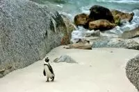 Thumbnail The Twelve Apostles Hotel and Spa
