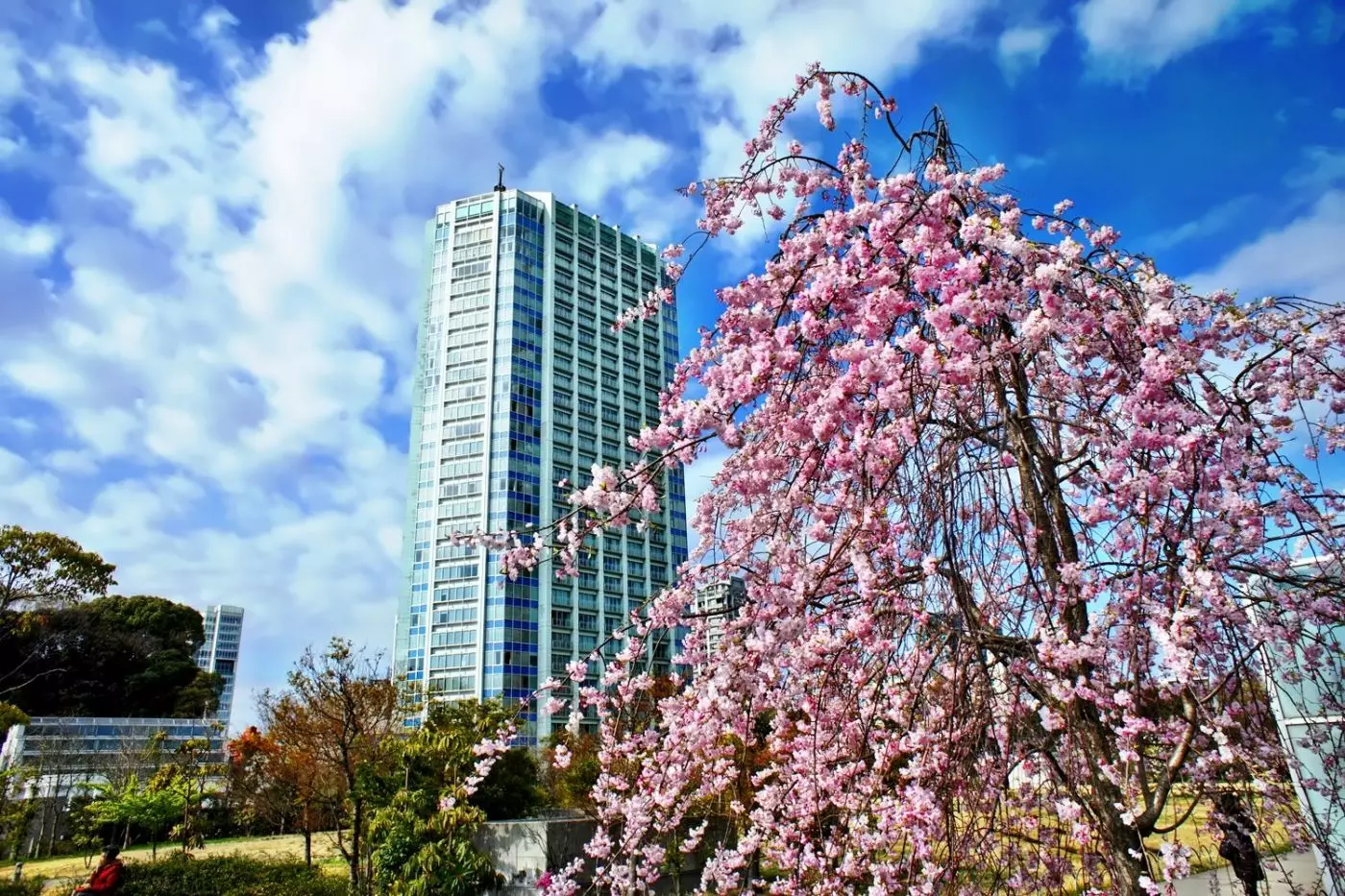 The Prince Park Tower Tokyo