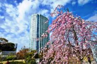 Thumbnail The Prince Park Tower Tokyo
