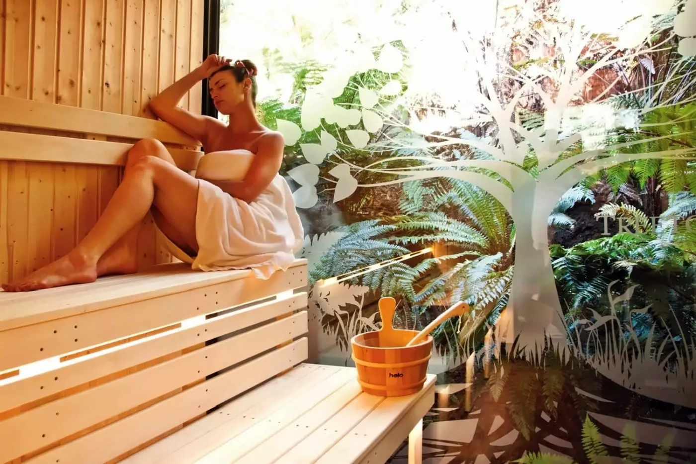 Treetops Lodge & Estates
