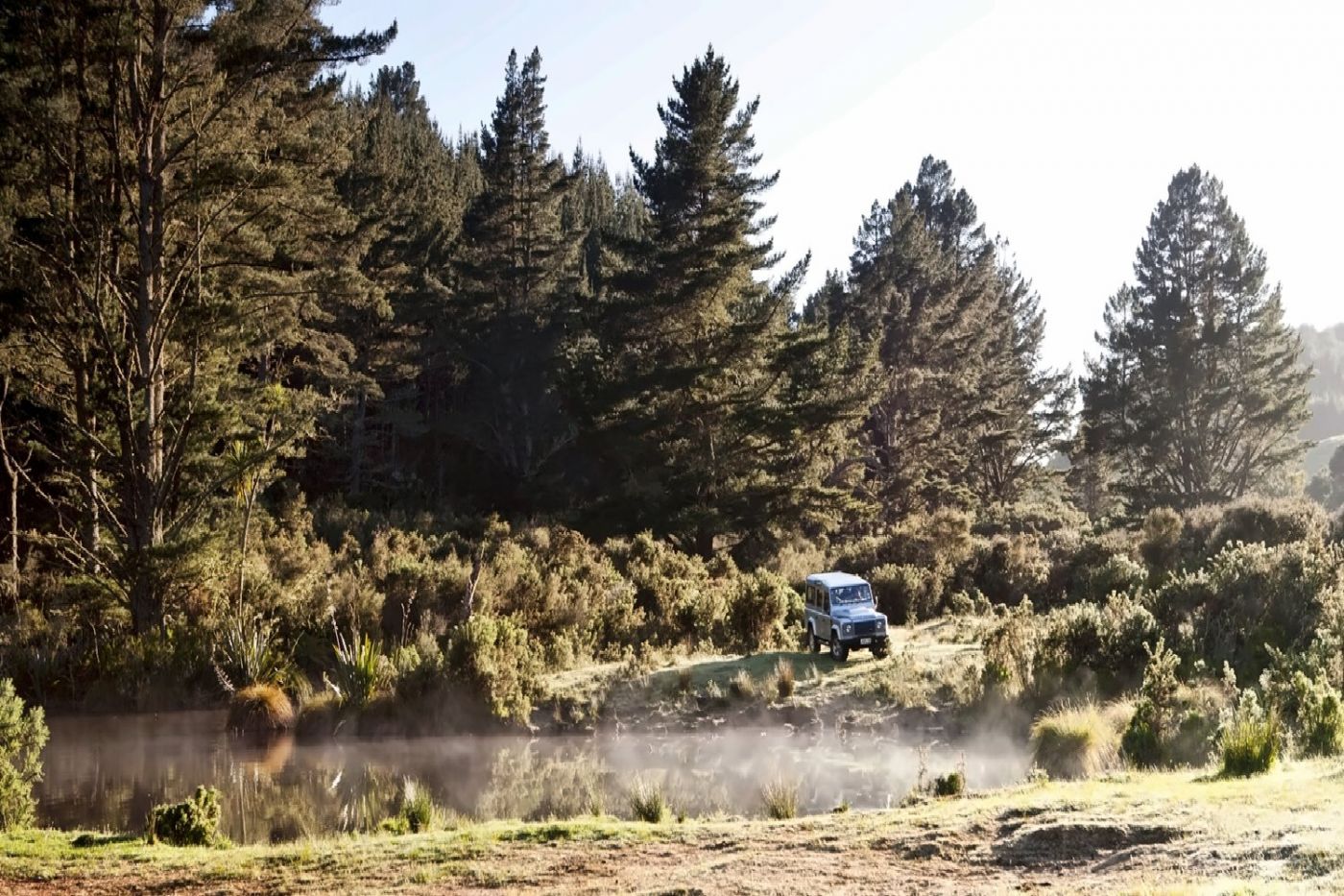 Treetops Lodge & Estates