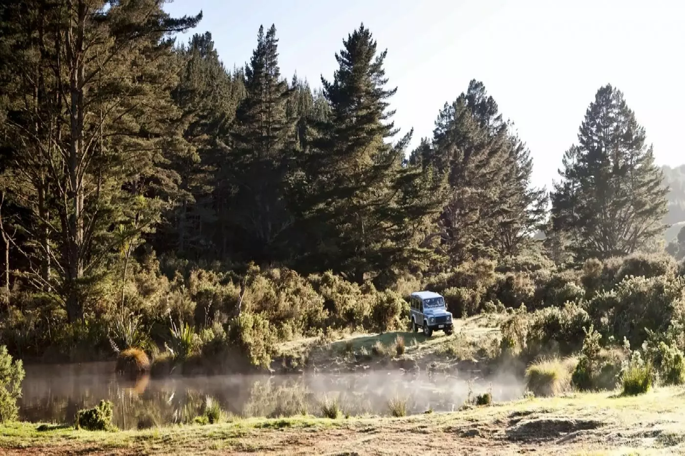 Treetops Lodge & Estates