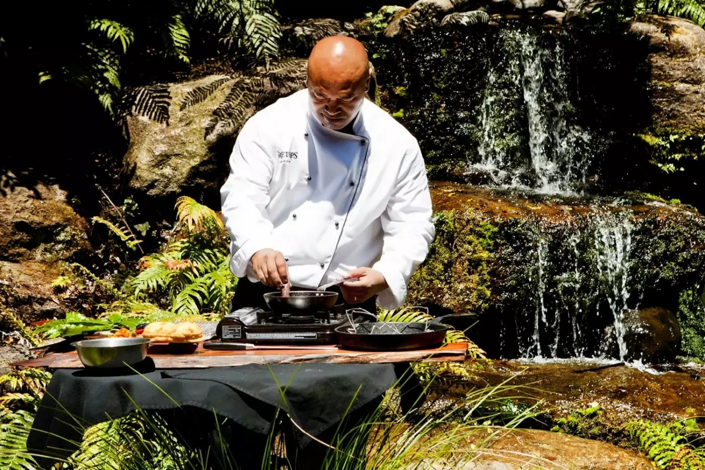 Treetops Lodge & Estates
