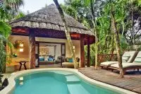Thumbnail Viceroy Riviera Maya