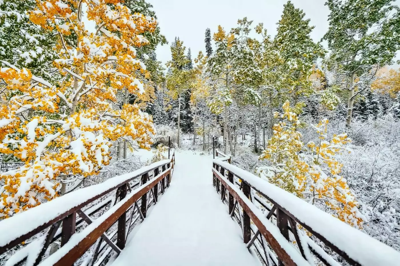 Viceroy Snowmass