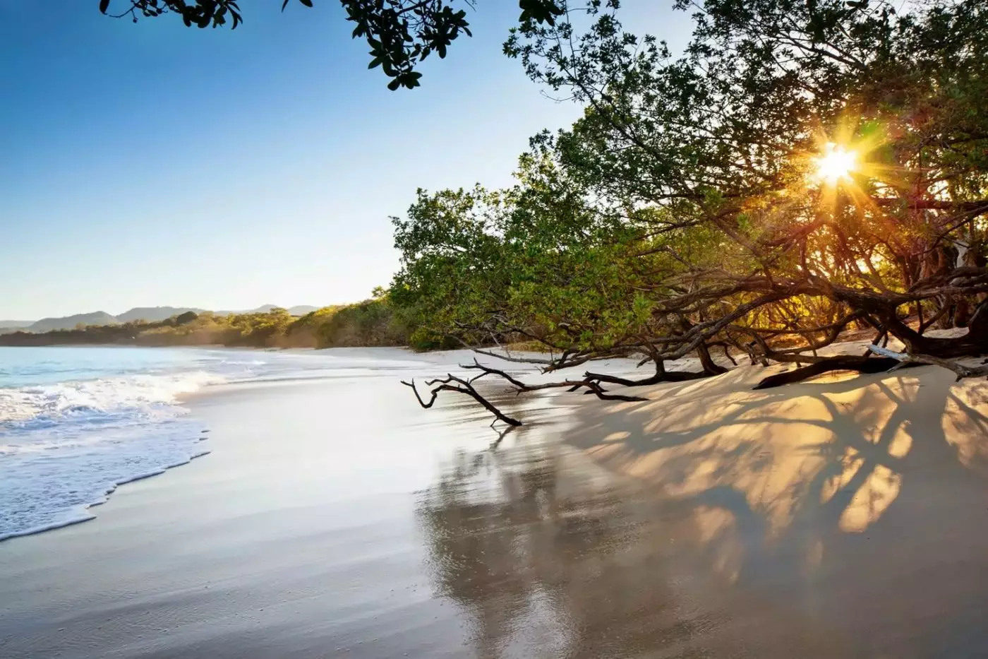 W Costa Rica