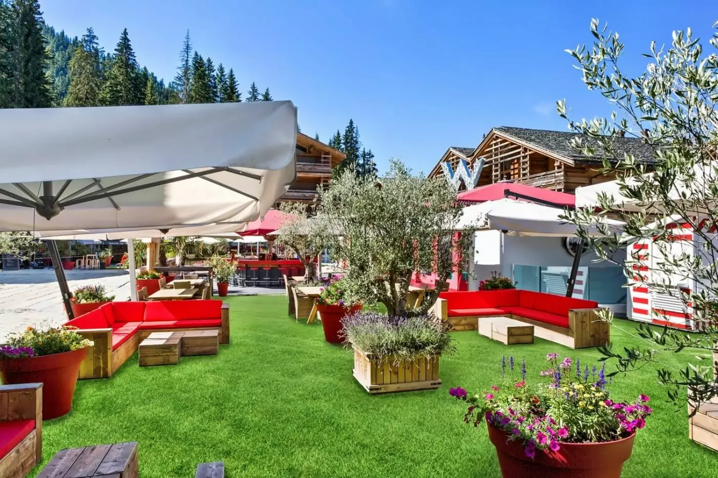 W Verbier