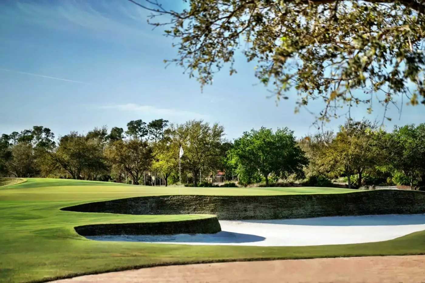 Ritz Carlton Naples Tiburon