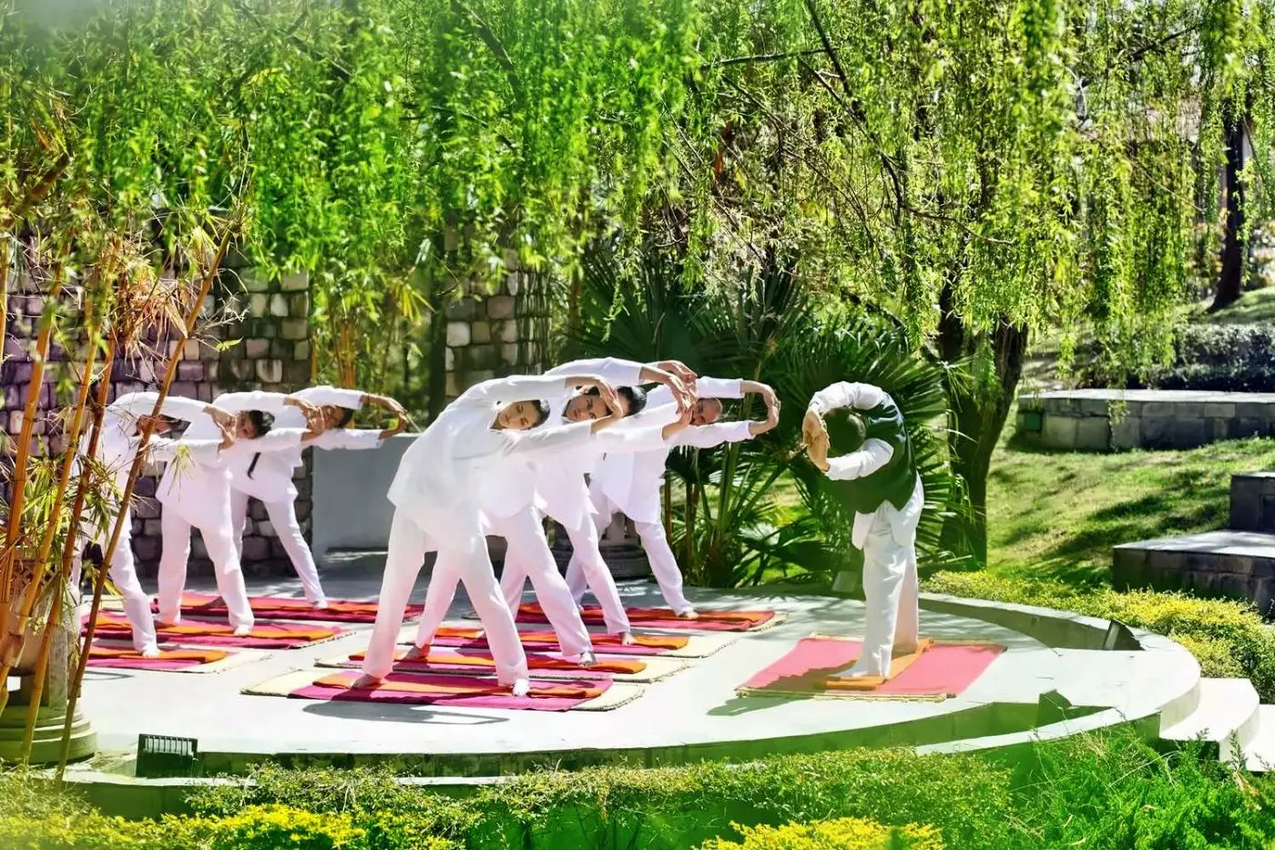 Ananda in the Himalayas