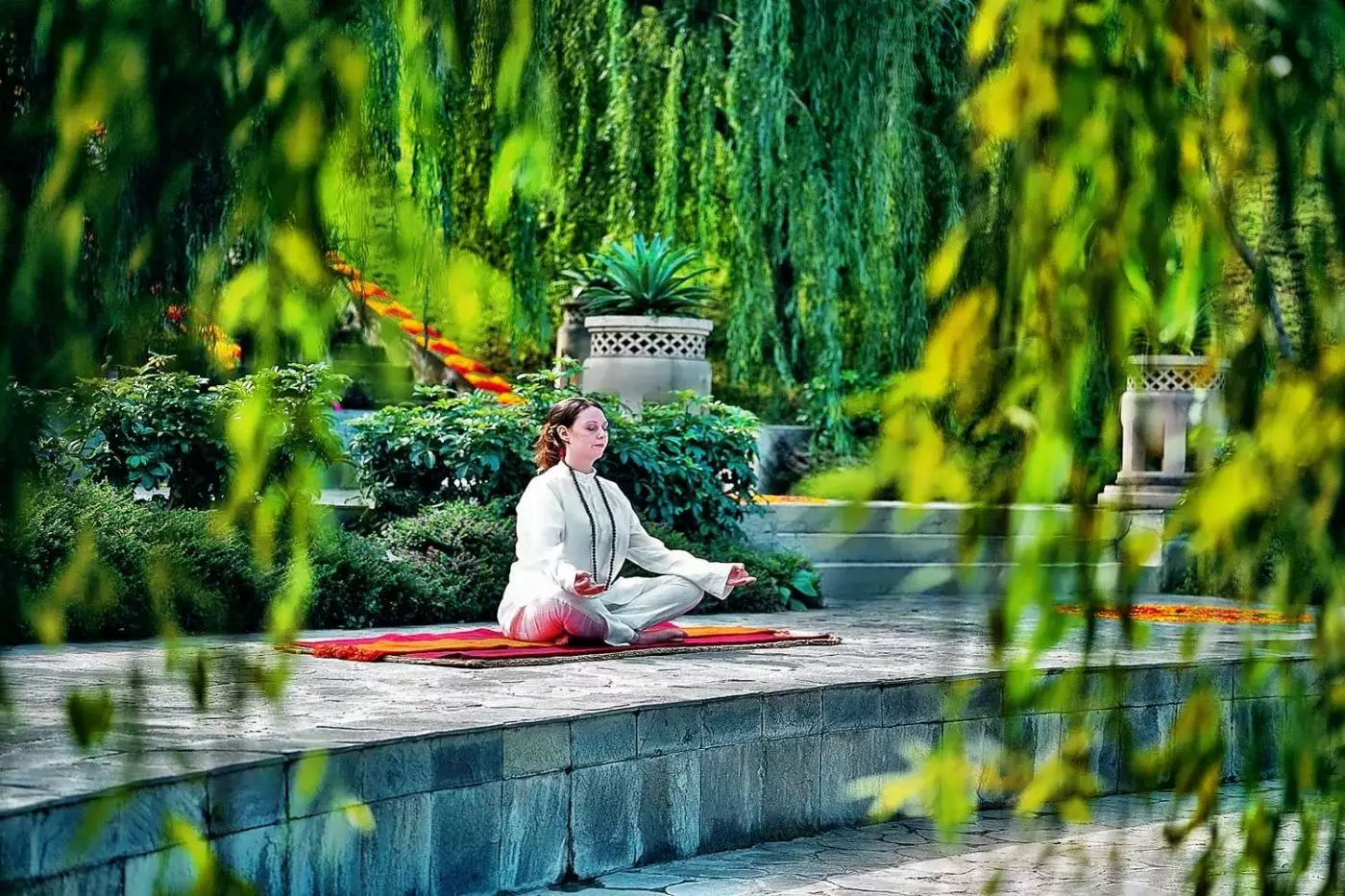 Ananda in the Himalayas