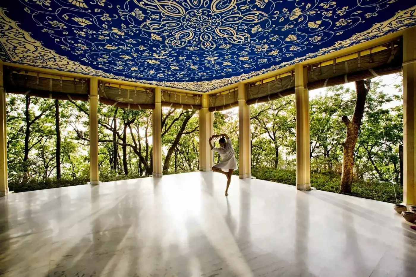 Ananda in the Himalayas