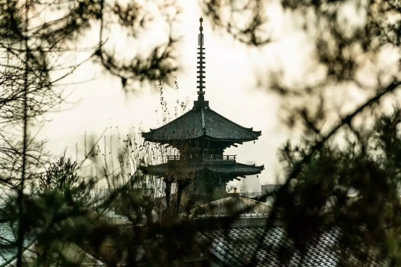 Park Hyatt Kyoto