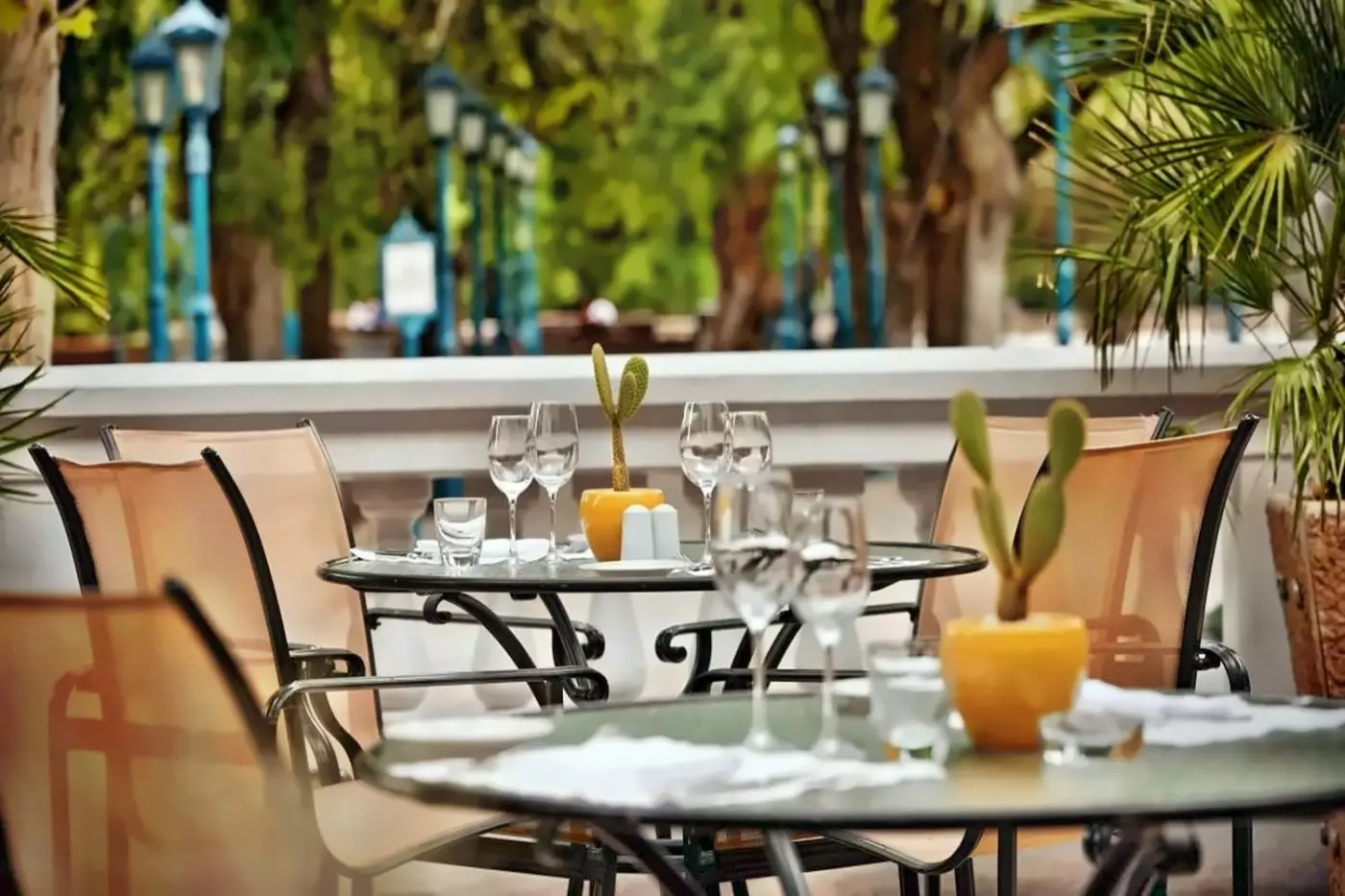 Park Hyatt Mendoza