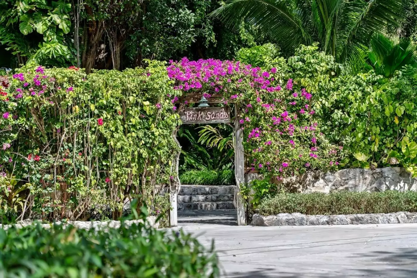 Pink Sands Resort