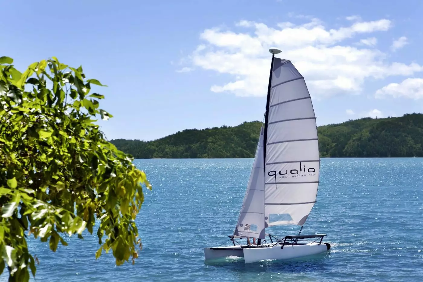 Qualia