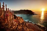 Thumbnail Montage Los Cabos