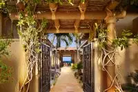 Thumbnail Montage Los Cabos