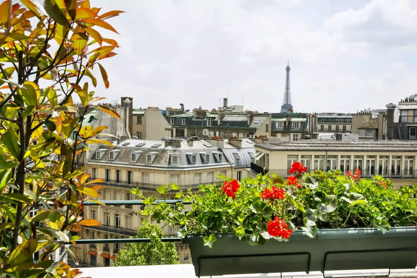 Hotel Napoleon Paris