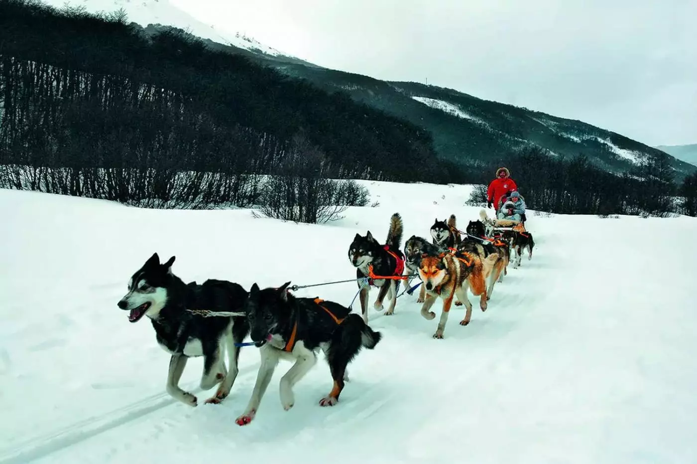 Arakur Ushuaia Resort & Spa