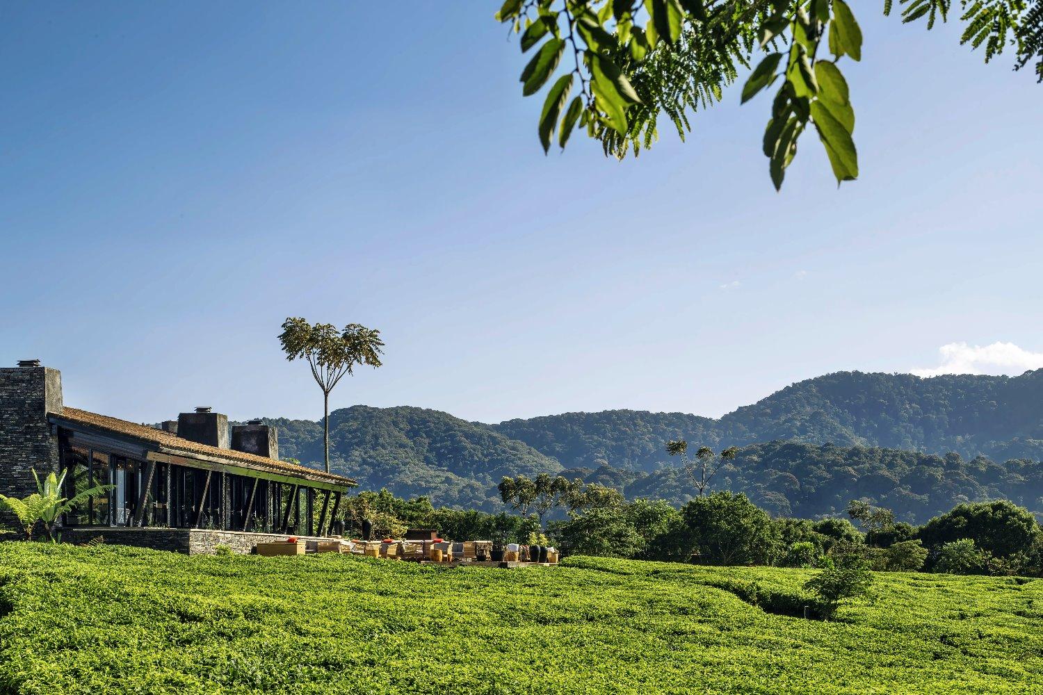 One&Only Nyungwe House