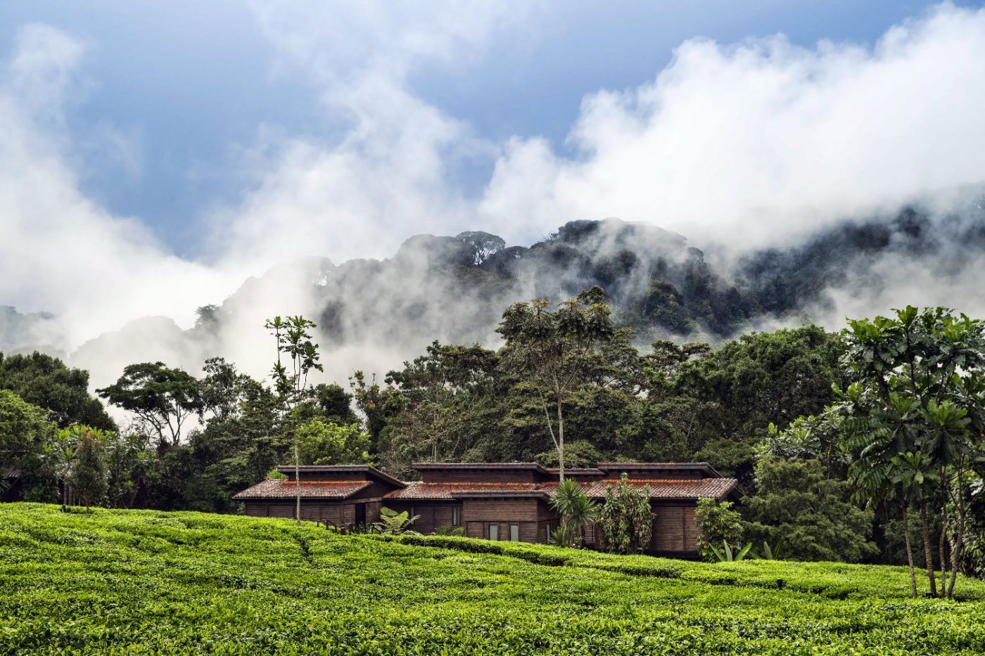 One&Only Nyungwe House