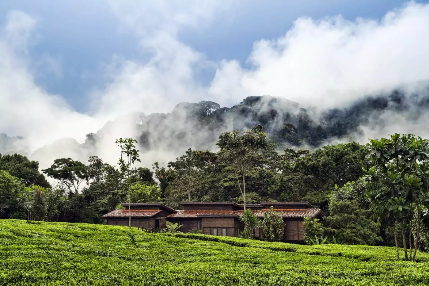 One&Only Nyungwe House