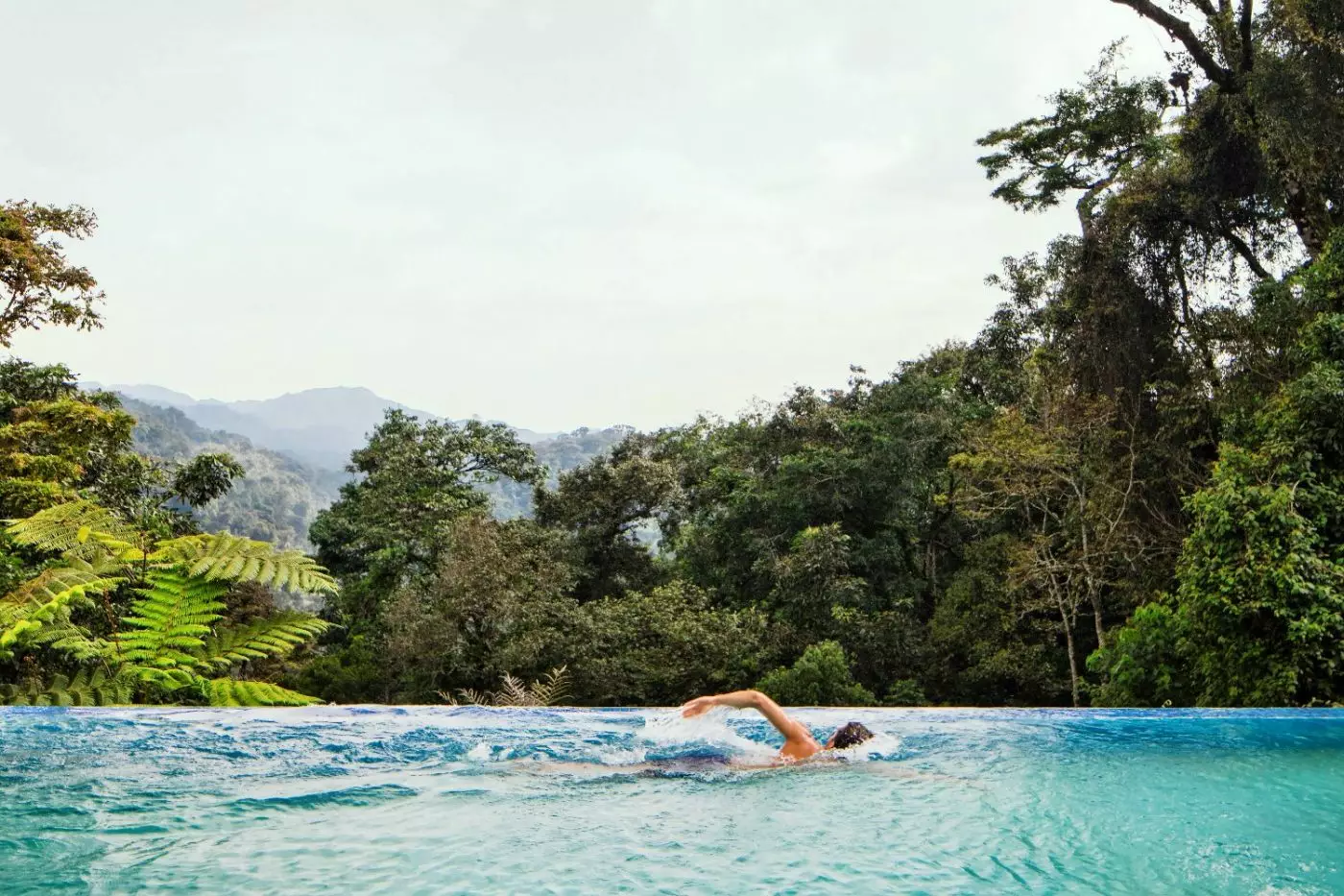 One&Only Nyungwe House