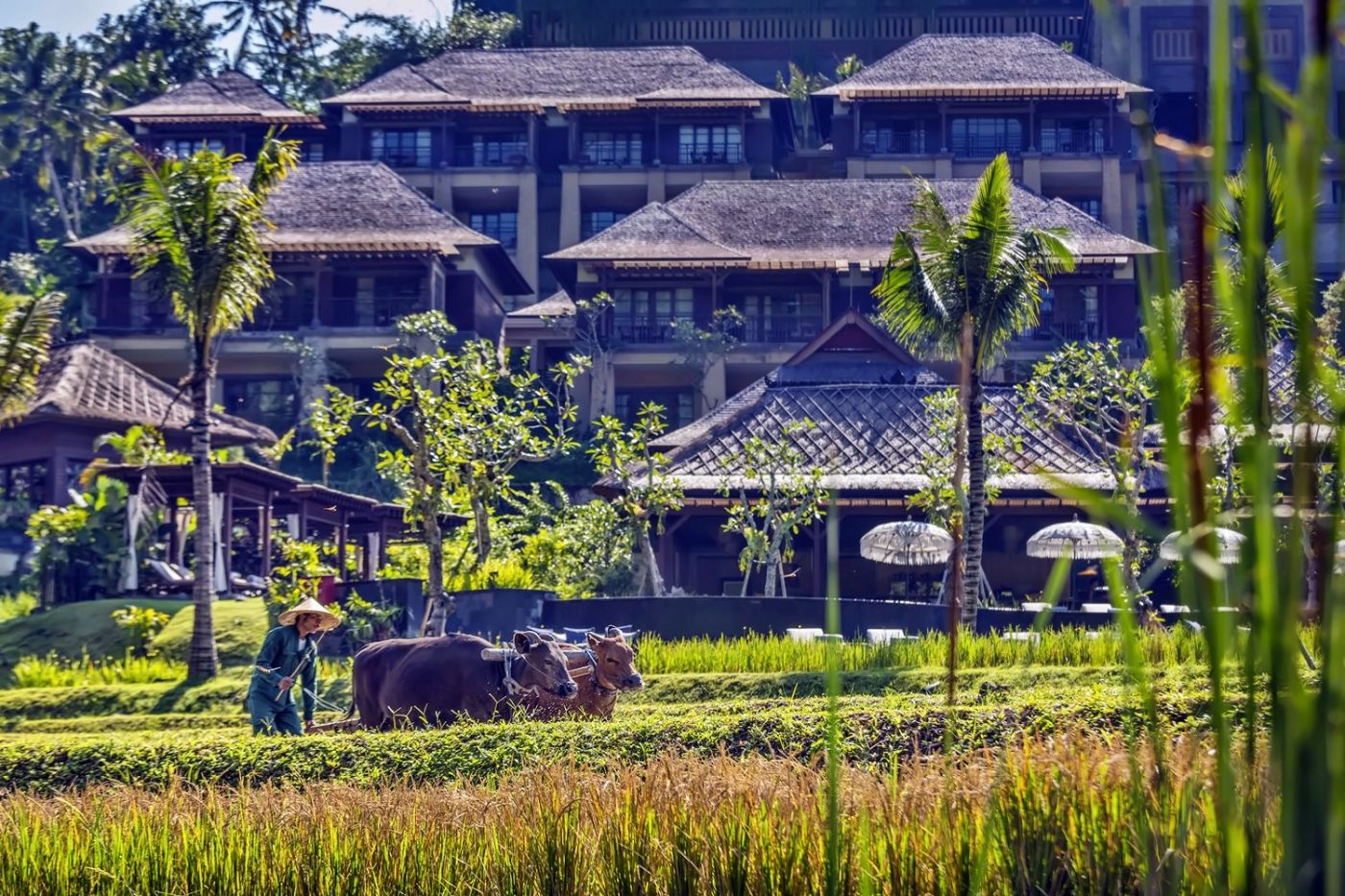 Mandapa, a Ritz-Carlton Reserve