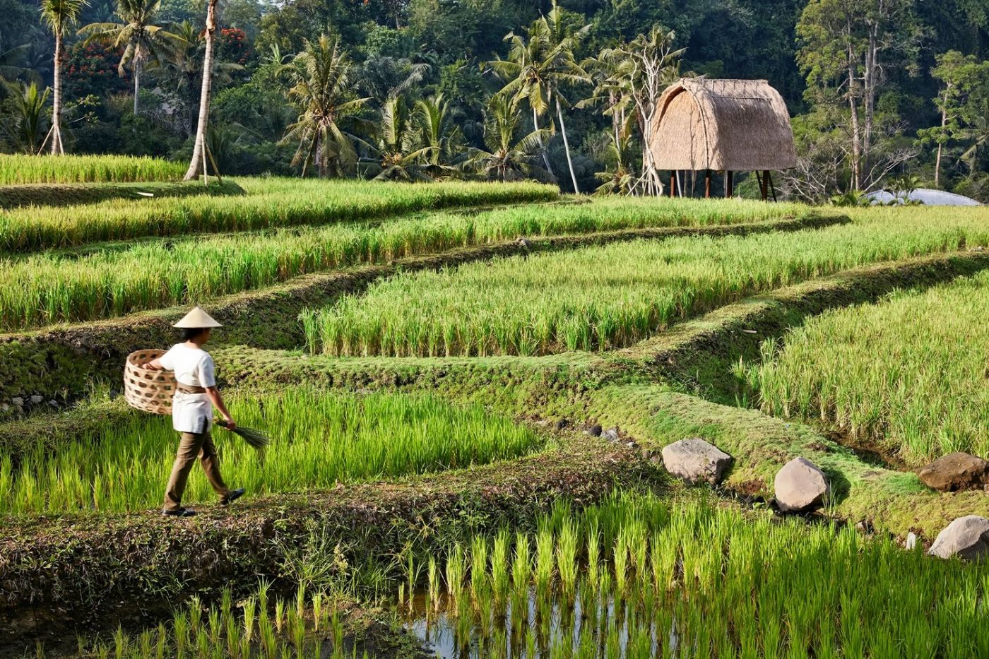 Mandapa, a Ritz-Carlton Reserve
