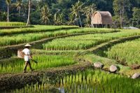 Thumbnail Mandapa, a Ritz-Carlton Reserve