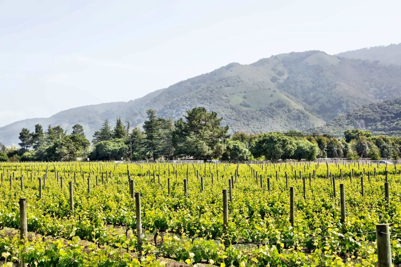 Bernardus Lodge & Spa
