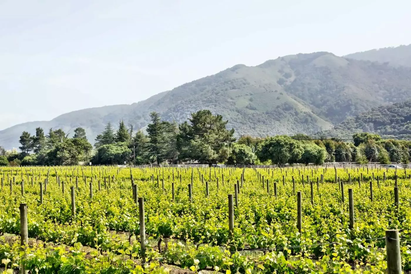 Bernardus Lodge & Spa