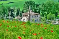 Thumbnail Borgo Pignano Volterra Tuscany