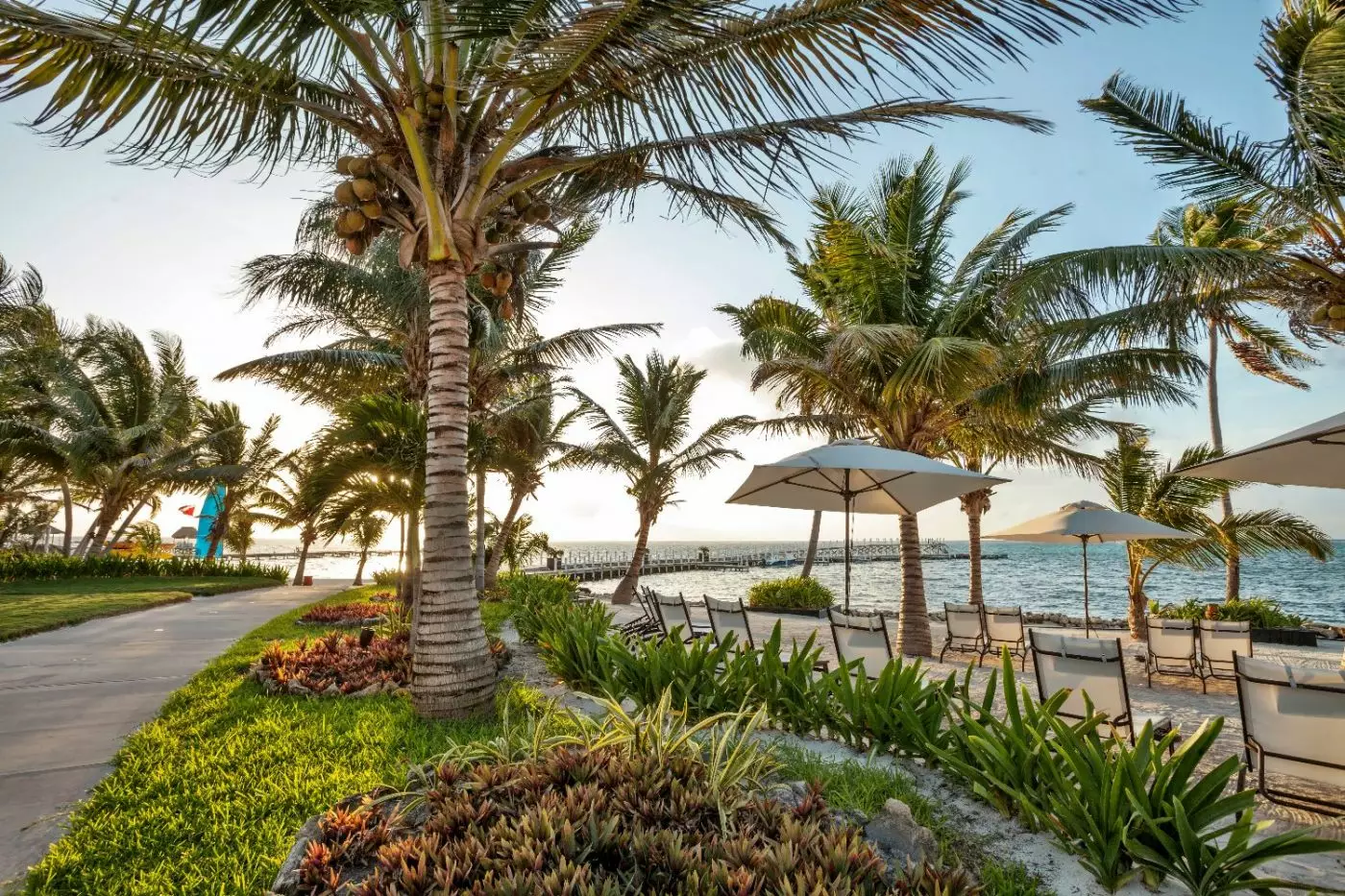 Las Terrazas Resort