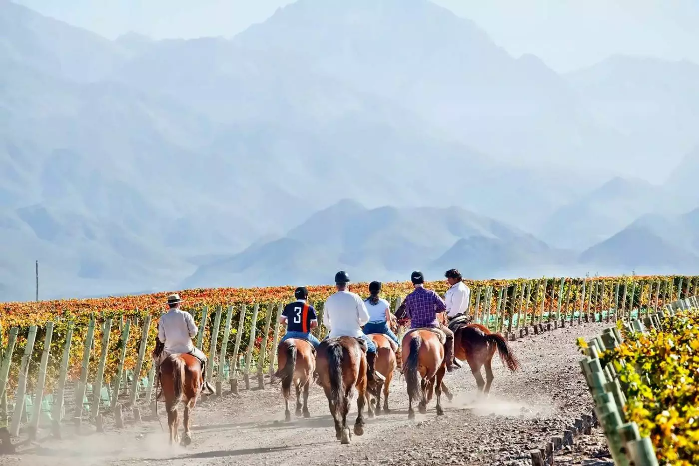 Casa de Uco Vineyards & Wine Resort