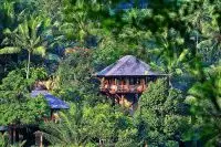 Thumbnail COMO Shambhala Estate