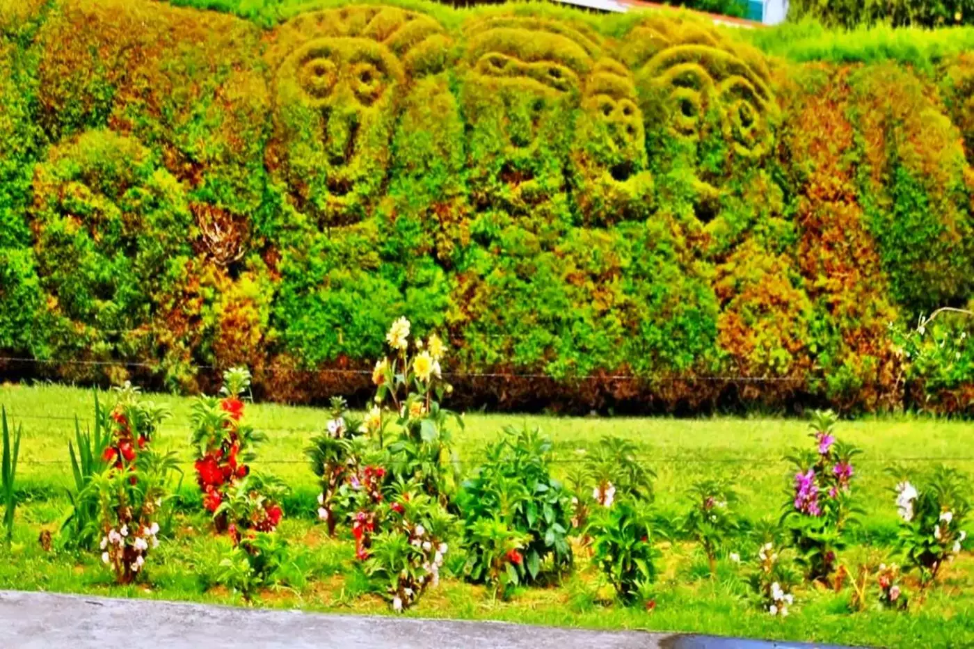El Silencio Lodge & Spa