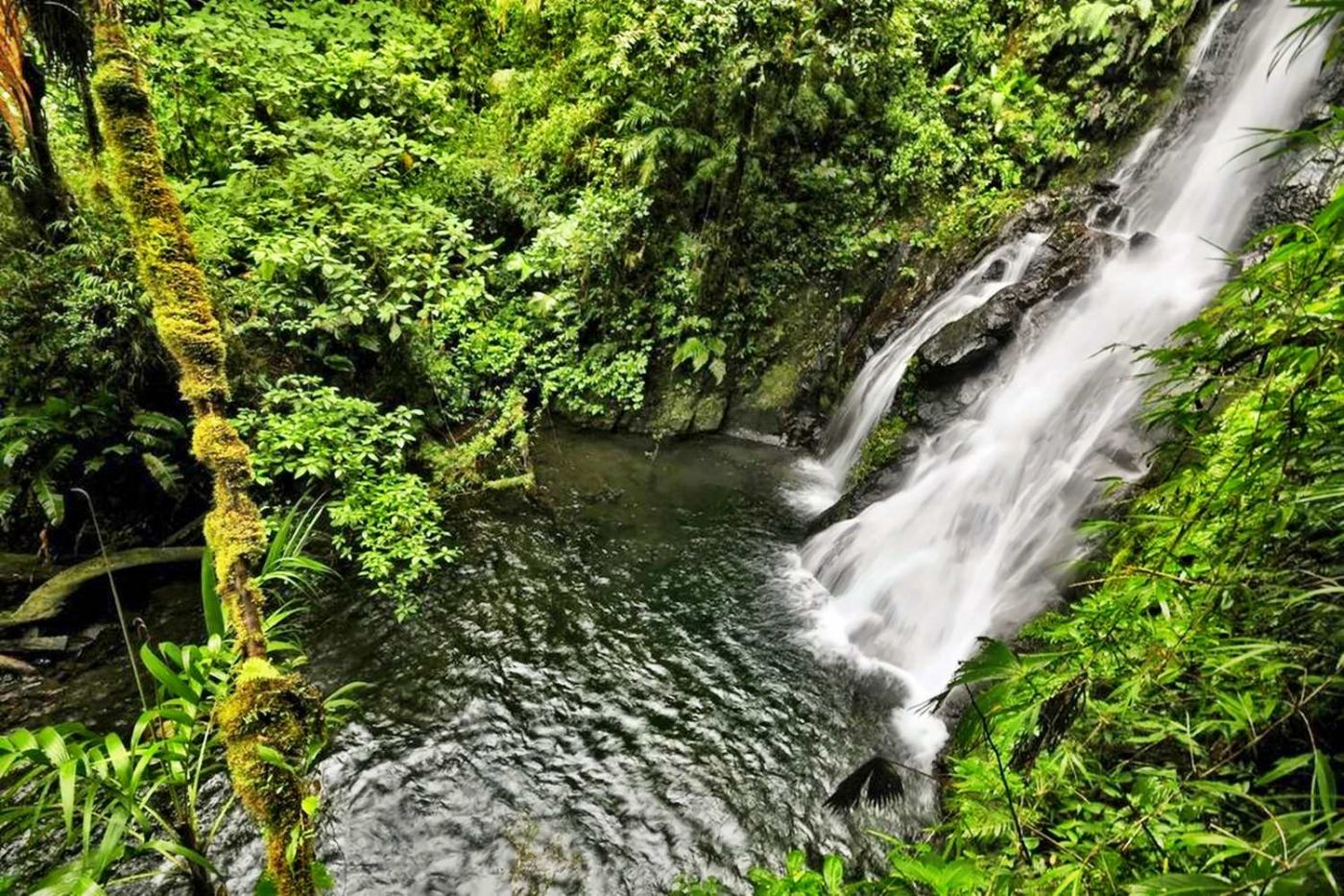 El Silencio Lodge & Spa