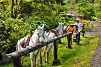 Thumbnail El Silencio Lodge & Spa