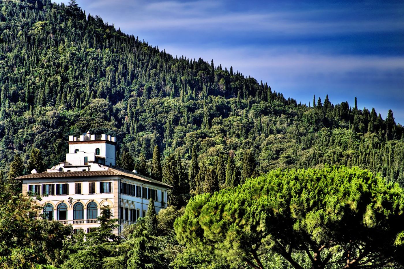 Il Salviatino