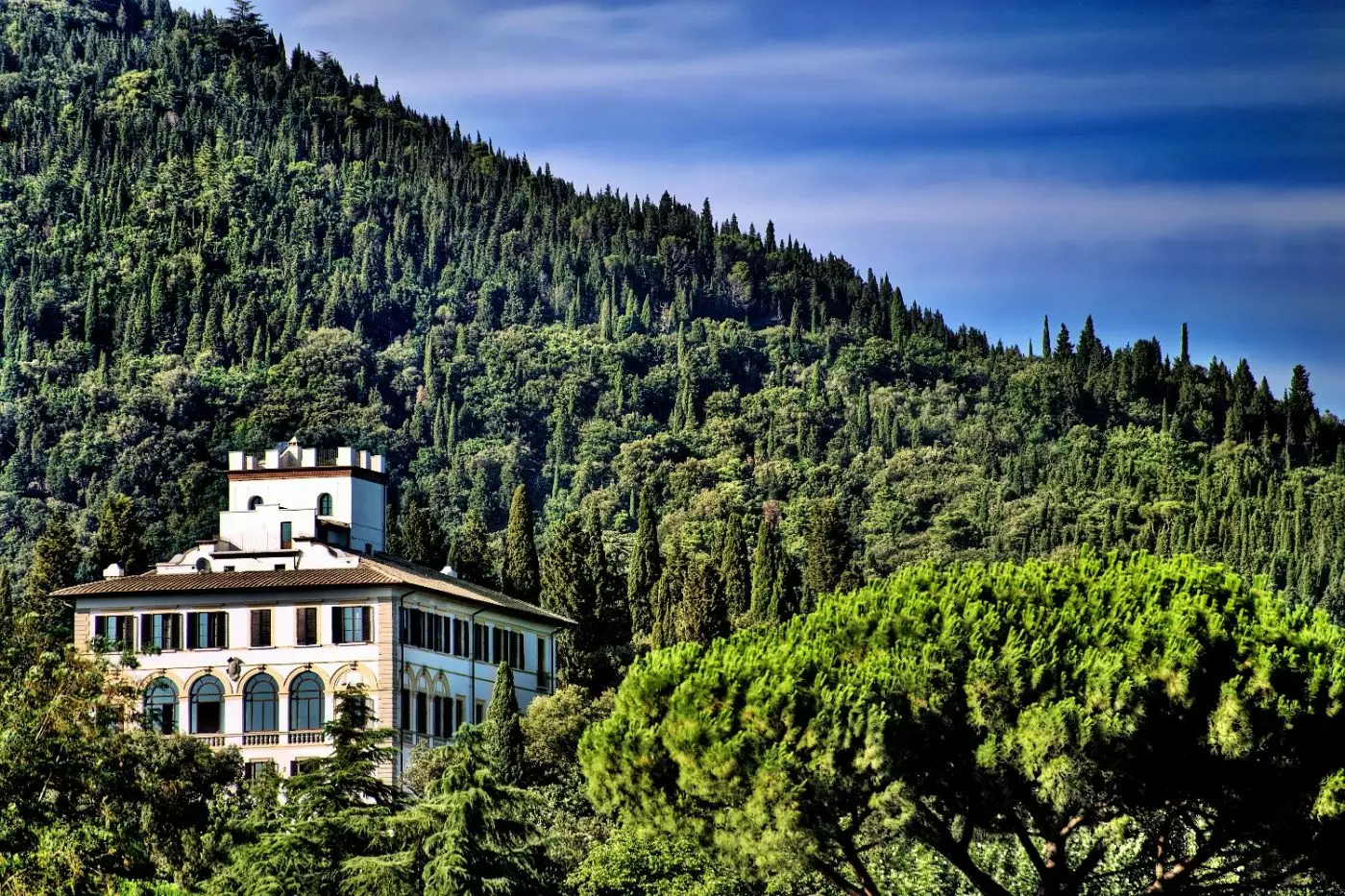 Il Salviatino