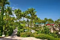 Thumbnail Hyatt Regency Aruba Resort & Casino