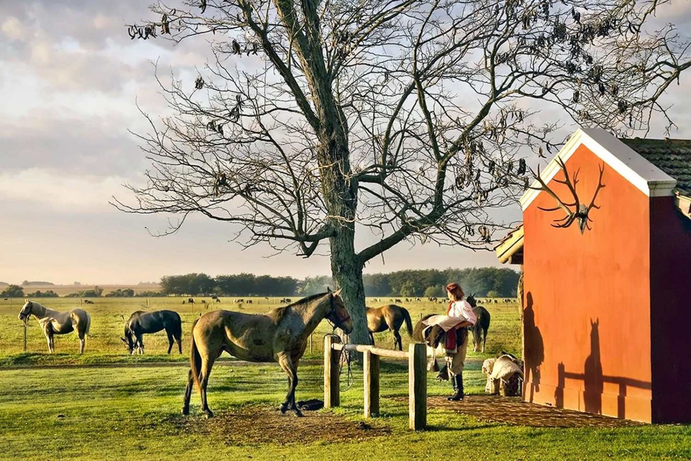 Estancia La Bamba de Areco