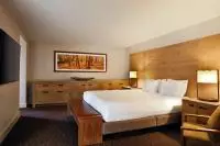 Thumbnail Hyatt Regency Lake Tahoe Resort Spa & Casino