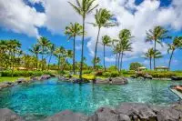 Thumbnail Grand Hyatt Kauai Resort & Spa