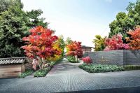 Thumbnail Four Seasons Kyoto