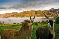 Thumbnail Las Casitas, A Belmond Hotel, Colca Canyon