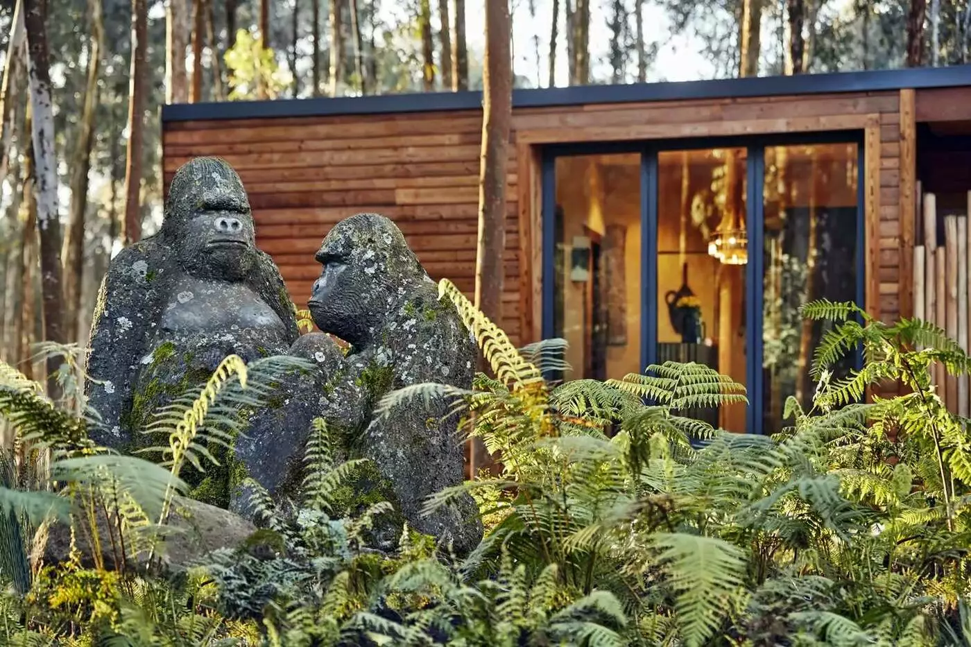 One&Only Gorilla's Nest