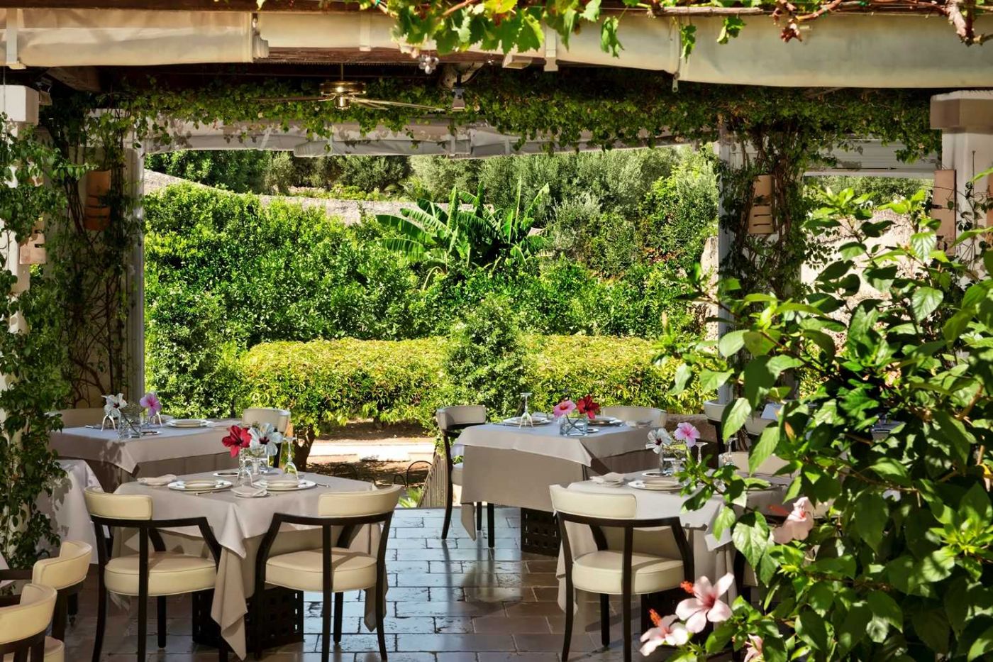 Masseria Torre Maizza